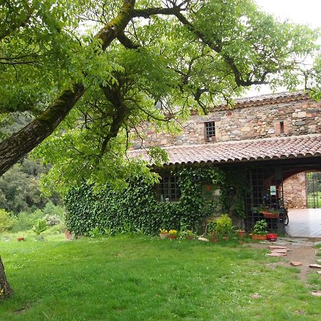 Bed And Breakfast Casanova De Sant Miquel Aiguafreda Екстериор снимка