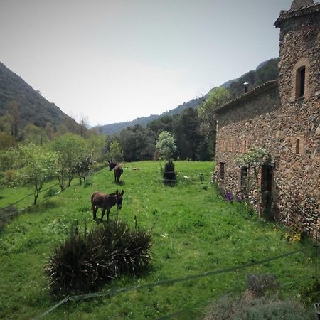 Bed And Breakfast Casanova De Sant Miquel Aiguafreda Екстериор снимка