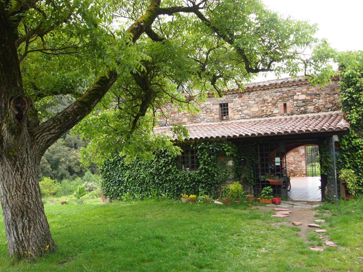 Bed And Breakfast Casanova De Sant Miquel Aiguafreda Екстериор снимка