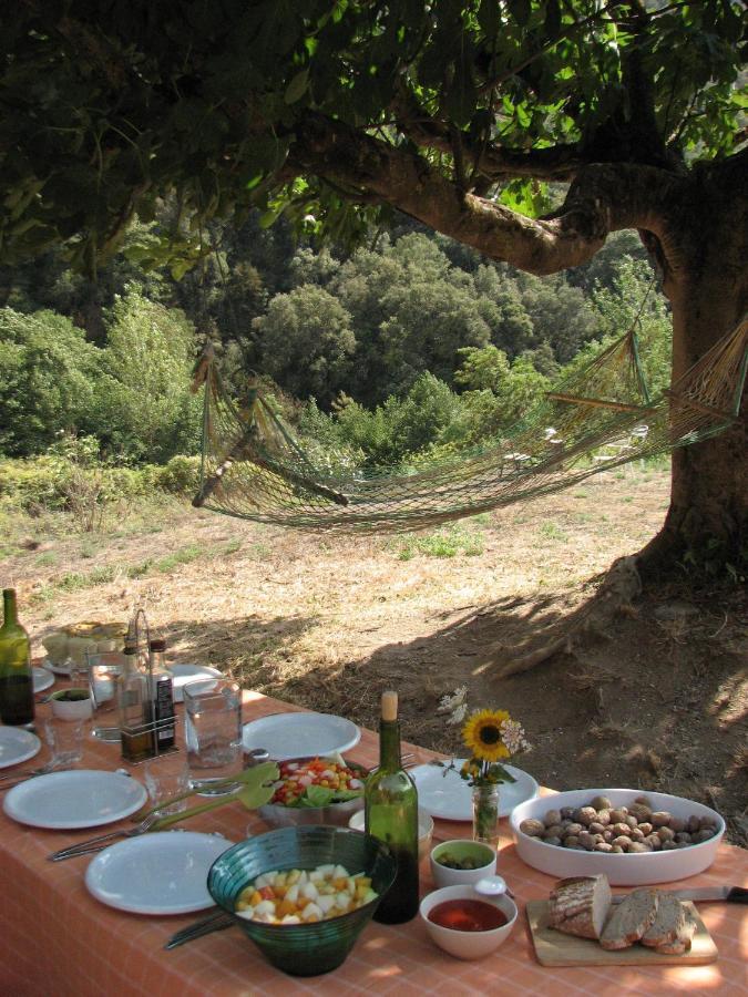 Bed And Breakfast Casanova De Sant Miquel Aiguafreda Екстериор снимка