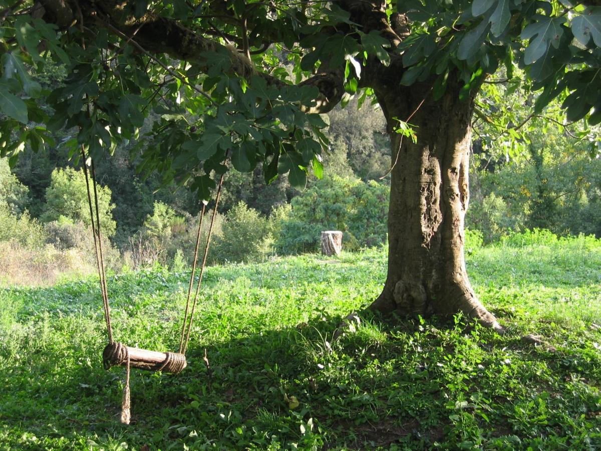 Bed And Breakfast Casanova De Sant Miquel Aiguafreda Екстериор снимка