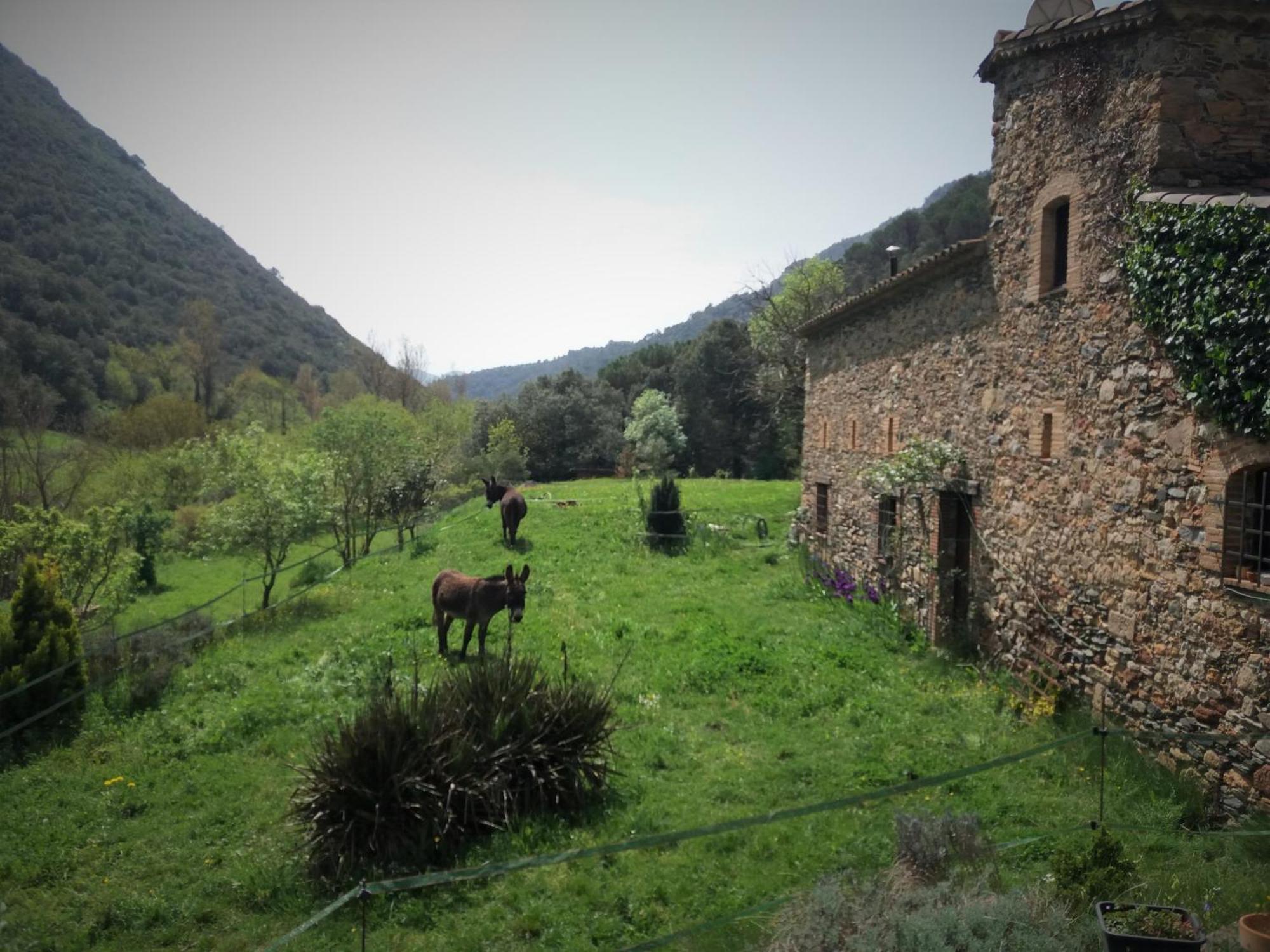 Bed And Breakfast Casanova De Sant Miquel Aiguafreda Екстериор снимка